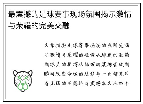 最震撼的足球赛事现场氛围揭示激情与荣耀的完美交融