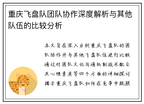 重庆飞盘队团队协作深度解析与其他队伍的比较分析